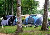 La Forêt foto 21