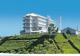Heritance Tea Factory foto 12