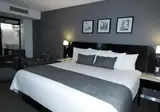 LaiLa Hotel CDMX foto 8