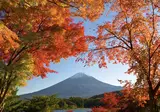 Explore Ancient Japan foto 4