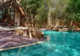 Jungle Beach Resort foto 17