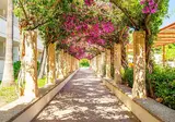 Hotel Rosella by Intelier foto 10