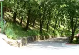 Firenze Certosa Camping foto 23