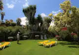 La Palma Jardin foto 16