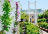 Siesta Beach Apartments foto 4