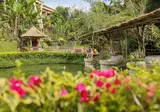 Padma Resort Ubud foto 17
