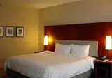 Hilton Toronto foto 5