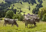 Panoramahotel Oberjoch foto 15
