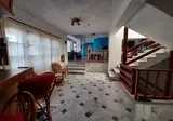 Ostria foto 12