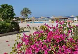 Shoni Bay foto 13