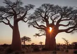Ontdek Tanzania foto 8