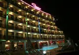 Flamingo foto 16
