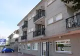 Vida Ostra Marina foto 1