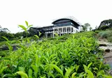 Rainforest Eco Lodge foto 10
