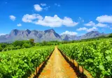Pragtig Suid-Afrika foto 17