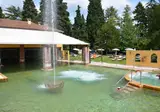 Villa dei Cedri S.P.A. foto 8