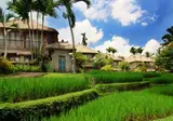Kamandalu Resort & Spa foto 1