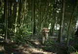 Camping Vestbirk foto 11