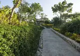 Menjangan Dynasty Resort foto 25
