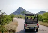 Ultimate Safari Experience - Sefapane Lodge foto 15