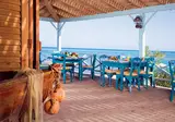 Mövenpick Resort & Spa El Gouna foto 6