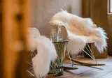 Tides Boutique Hotel foto 18