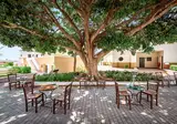 Mitsis Rodos Maris Resort & Spa foto 9