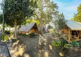 Pampaleone Glamping Resort foto 3