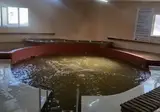 Reis Thermal foto 2