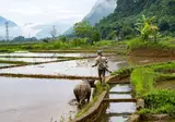 Traditioneel Vietnam foto 9