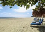 Serenade Punta Cana Beach & Spa Resort foto 5
