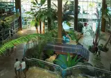 Flamingo Oasis foto 27