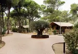 Wecamp L Escala Punta Milà foto 6