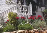 El Capistrano Sur foto 21