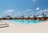 Masseria Mongio Dell'Elefante foto 16