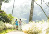Padma Resort Ubud foto 16