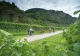 Fietsen langs de parels van de Donau foto 6