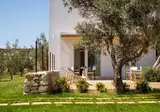 Secolario Masseria del Viverbene foto 11