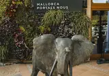 Lindner Hotel Mallorca Portals Nous, part of JdV by Hyatt foto 14