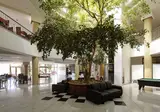 Aristoteles Holiday Resort & Spa foto 10