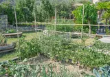 Tenuta Edoné foto 18