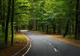 De Moezel, het Zwarte Woud en het Sauerland op het gemak foto 11