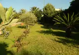 Nicolaus Club Quattro Lune Resort foto 11