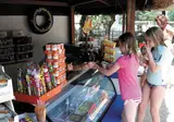 Camping hu Altomincio Village foto 17