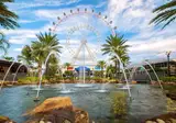 Florida Sunshine foto 5