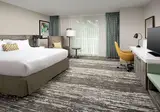 Hilton Garden Inn Miami Brickell South foto 17