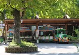 Camping Riccione foto 21