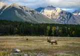 Ontdek West-Canada foto 5