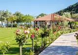 Camping Oliva foto 14