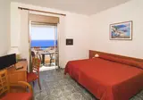 Hotel Delle Palme foto 3